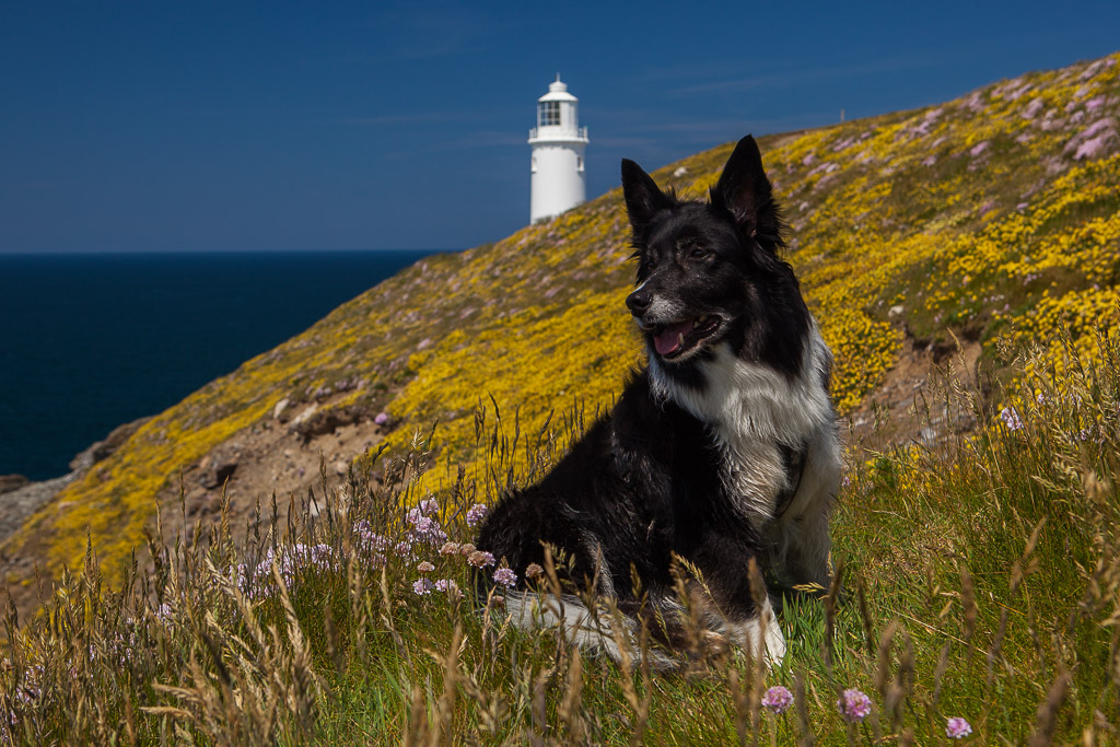 Leuchtturm am Trevose Head, Cornwall