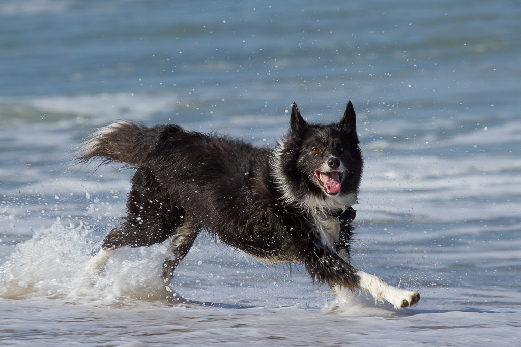Ayla am Strand beim Wellenfangen