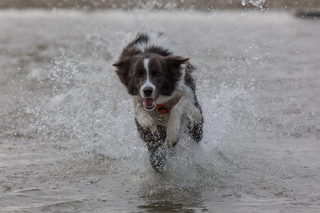 Amy am Strand in SPO