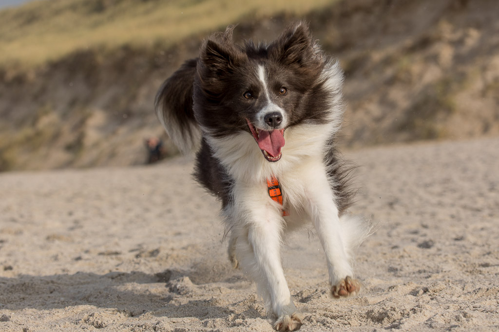 Amy am Strand