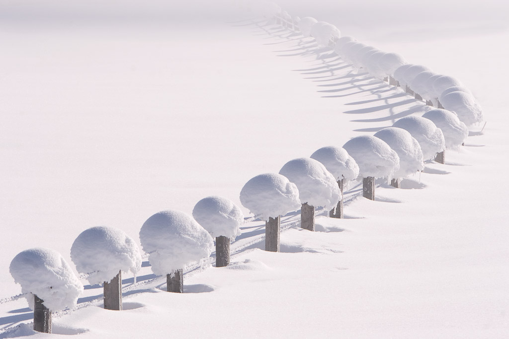 The snow rich winter of 05/06 created throughout Europe not only winter chaos but also formations of unseen beauty like these chains of snow-topped fence posts in rural Austria. To catch these in the fogs of the below 15 C degrees morning cold needs some special preparation and dedication but was fun anyway.