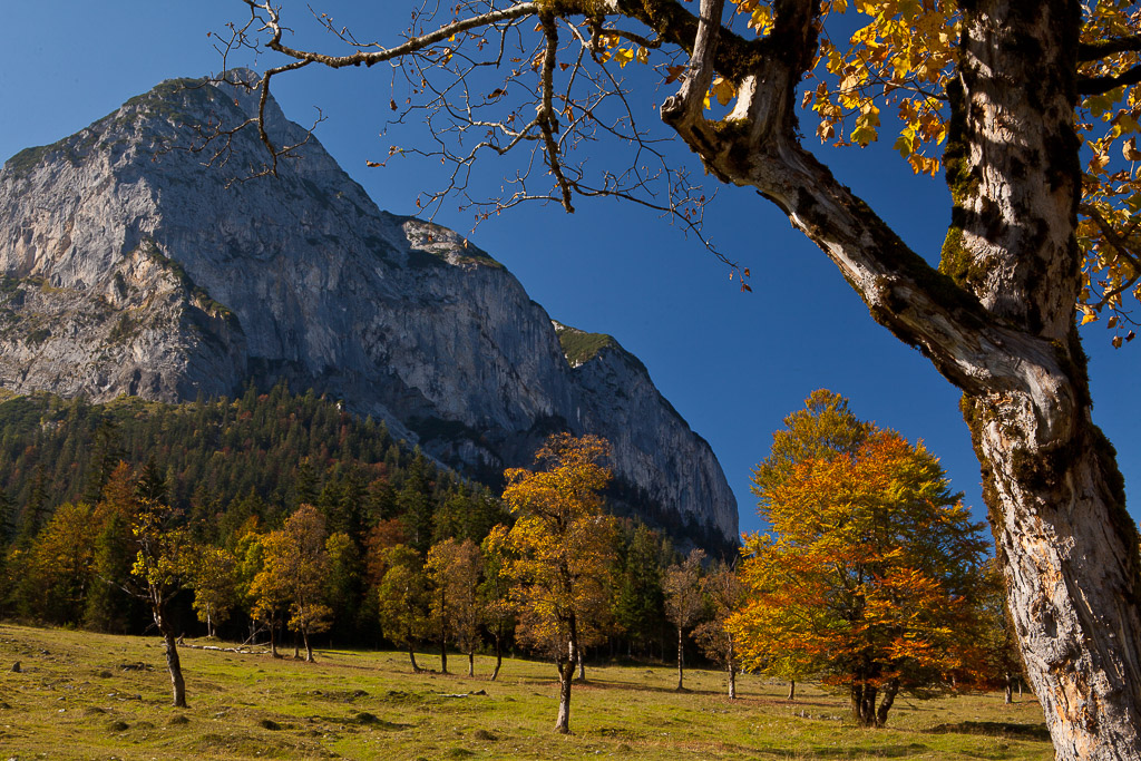 Herbstfarben in der Eng, ein Karwendeltal