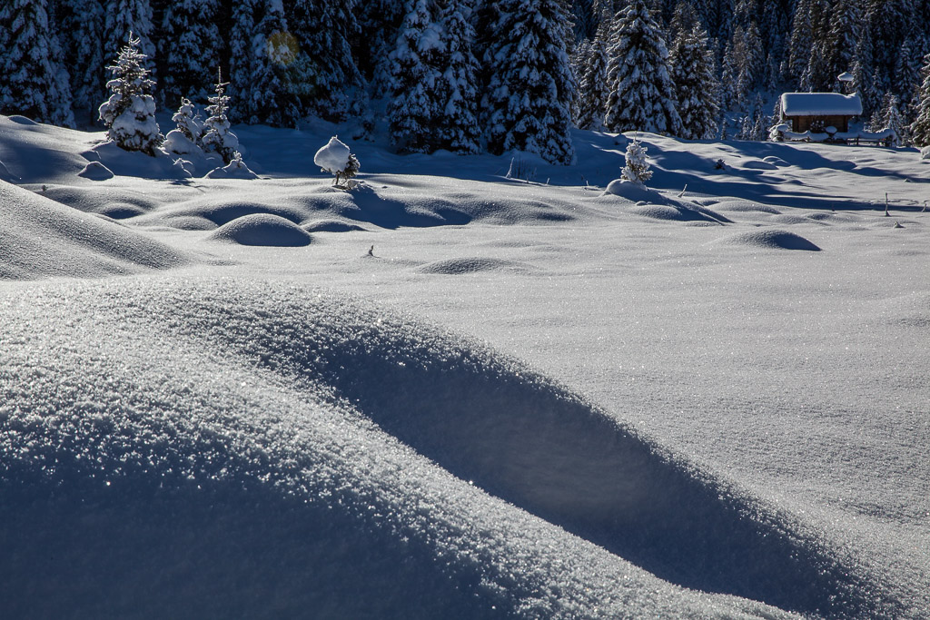 Finkau im Winter