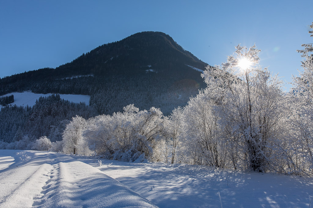 Rauhreif in den Sulzbachtälern