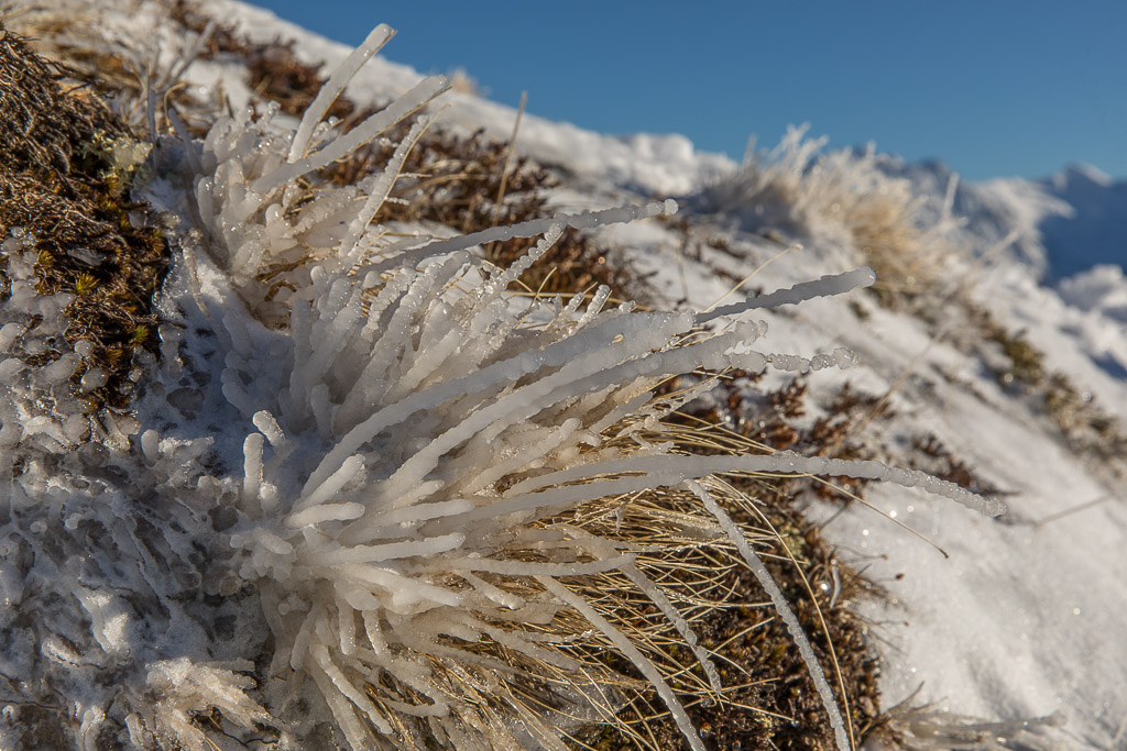 Gefrorenes Gras am Wildkogel