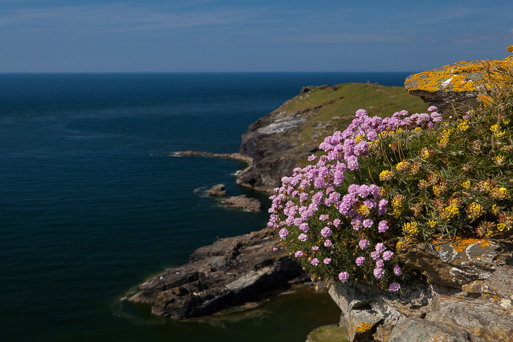 Tintagel Castle, Cornwall, UK