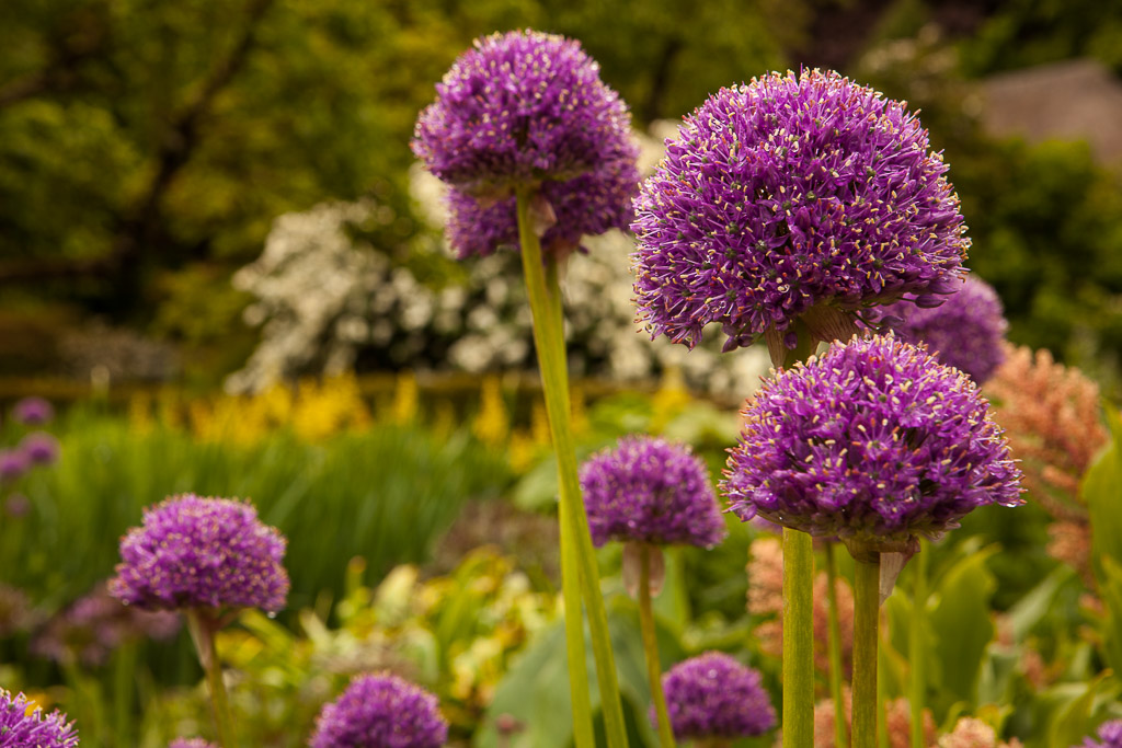 Lanhydrock House and Garden, Cornwall, UK