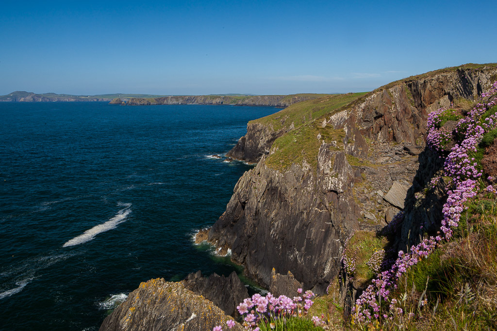 Küste bei Porthgain, Pembroke Coast NP, Wales, UK