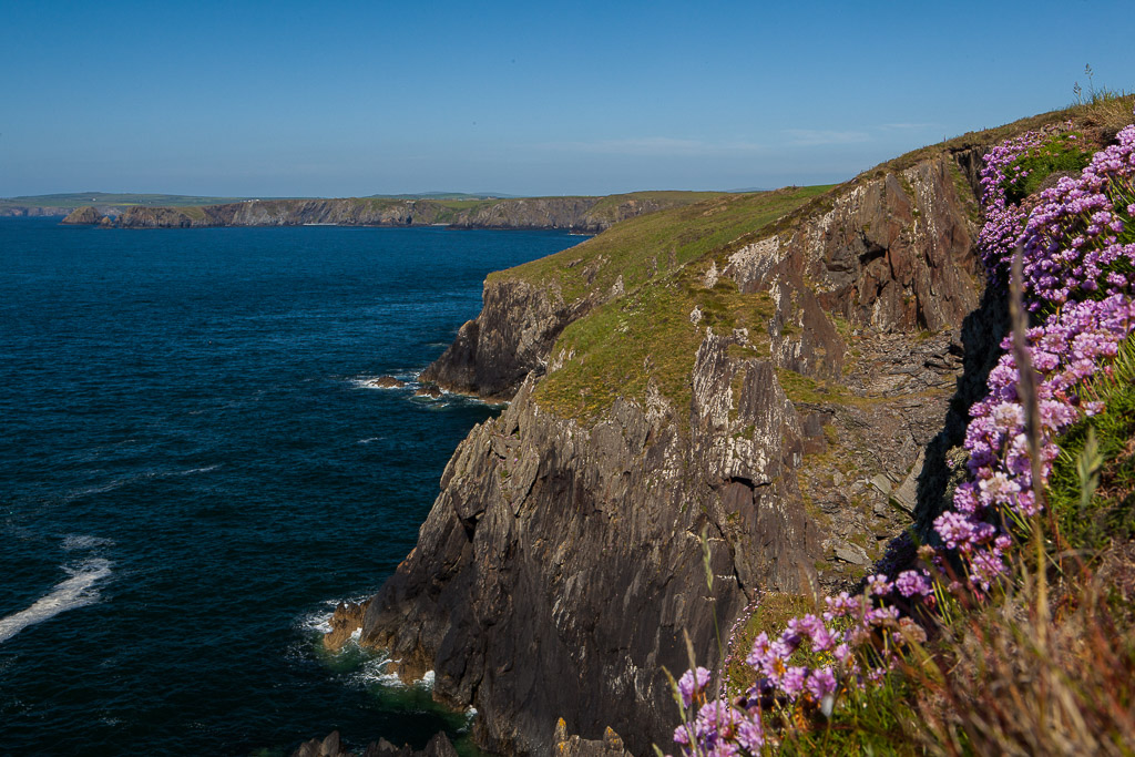 Küste bei Porthgain, Pembroke Coast NP, Wales, UK