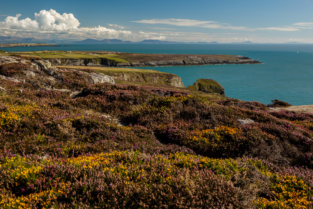 Lighthouse at the South Stack