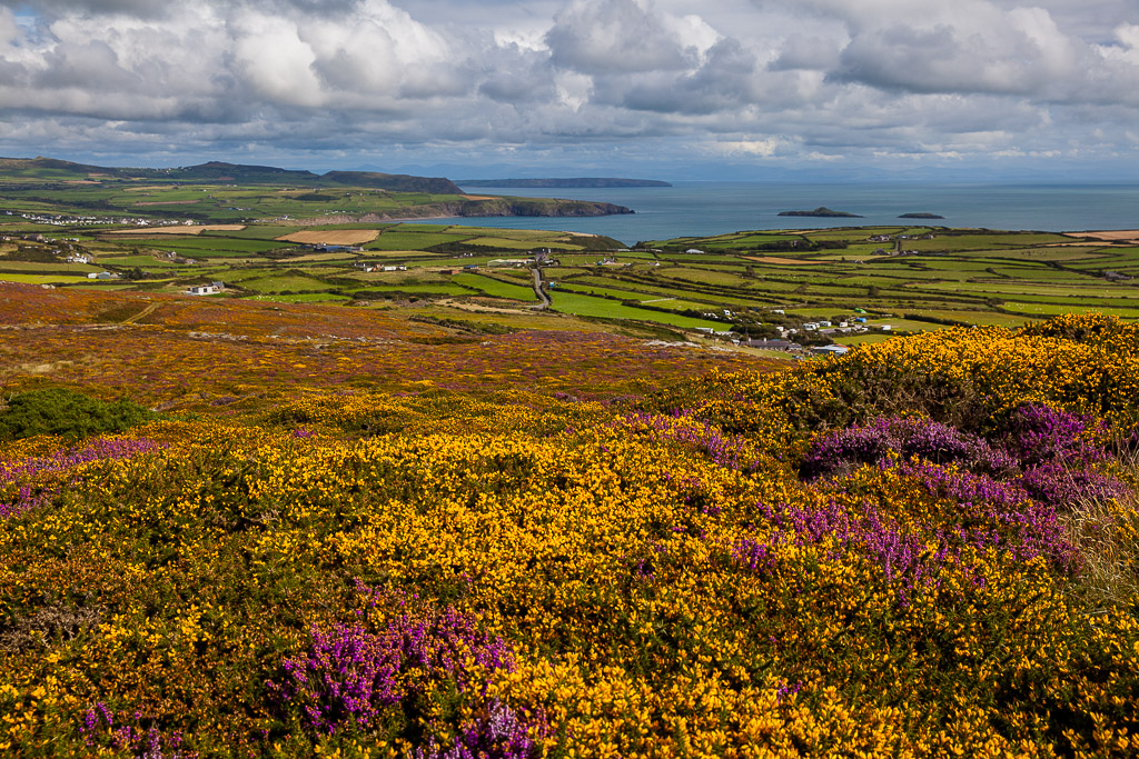 Am Aussichtspunkt Braich y Pwll