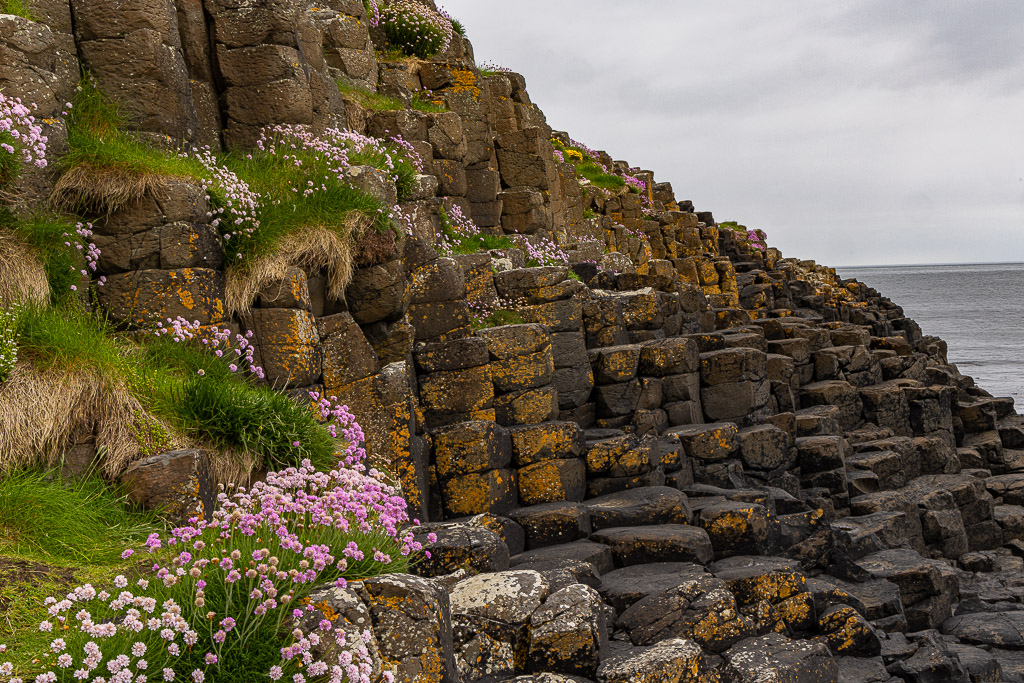 Giants Causeway