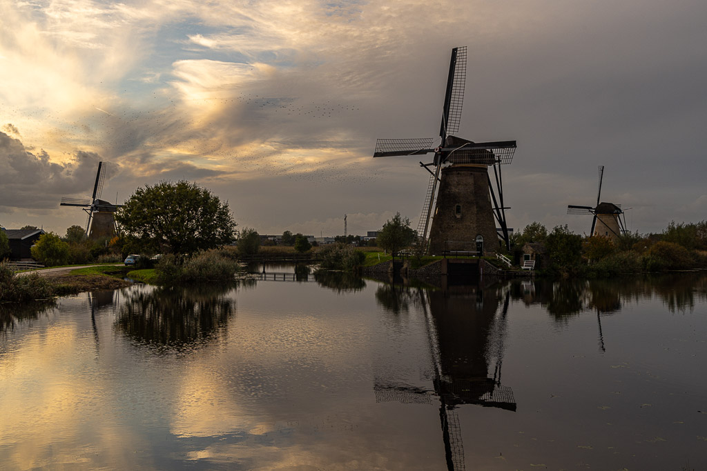 Abend am Kinderdijk