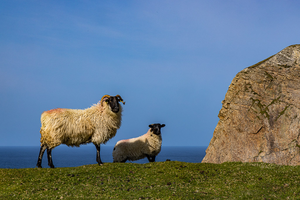 Portacloy Cliffs