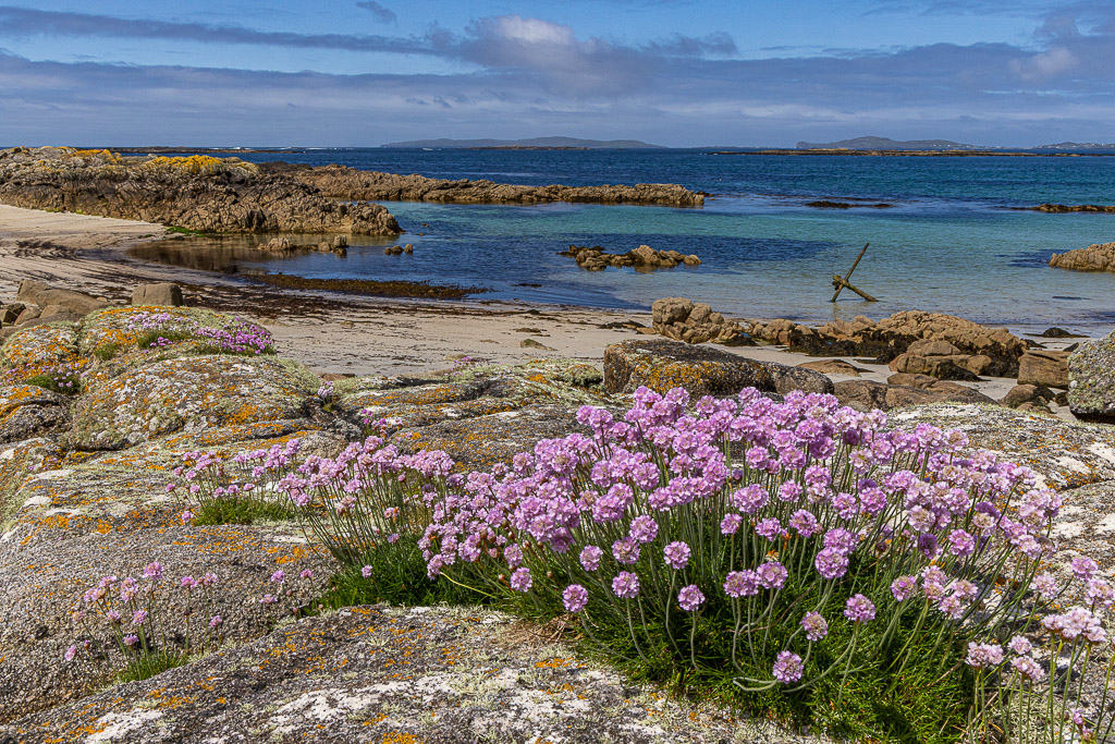 An der Connemara Coast