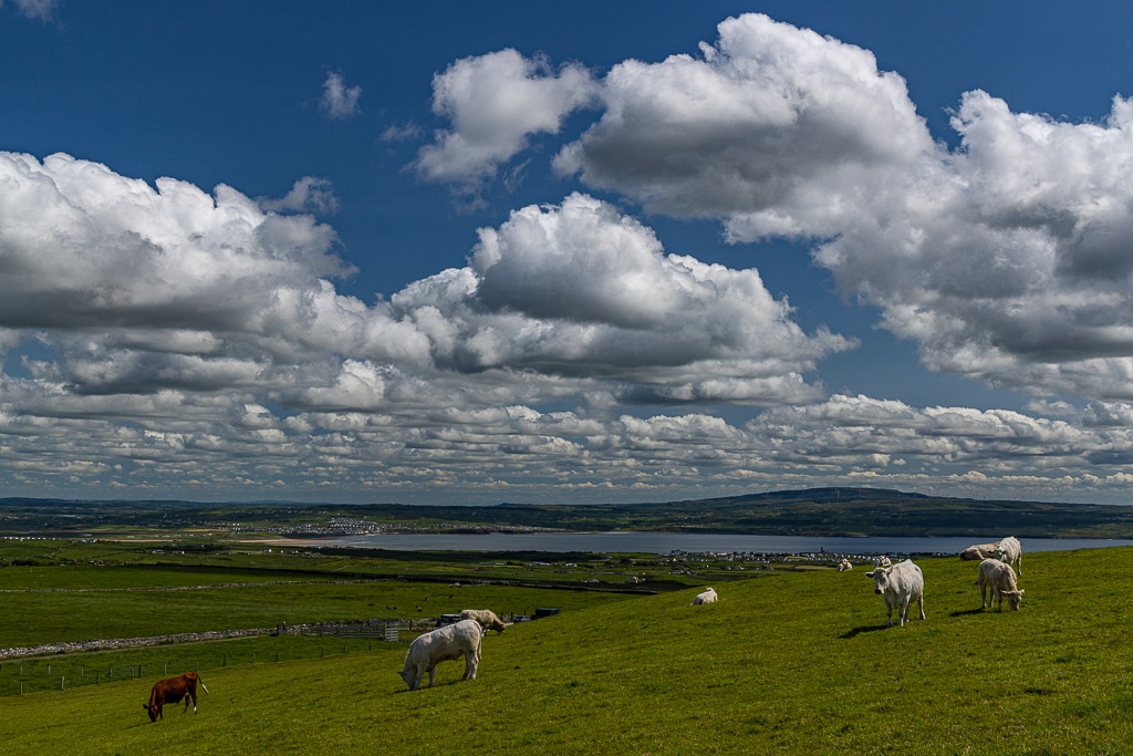 Rundgang an den Cliffs of Moher