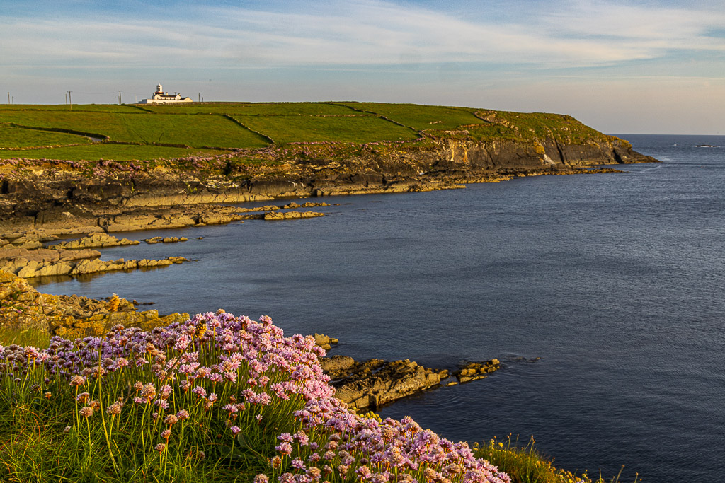 Sunset am Galley Head