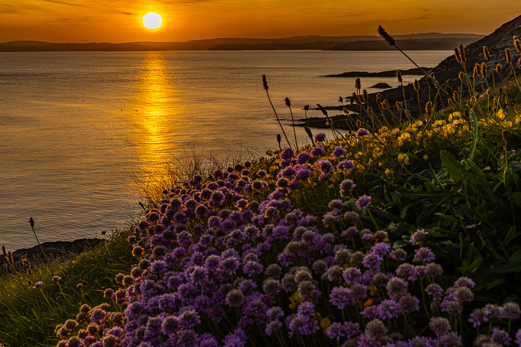 Sunset am Galley Head