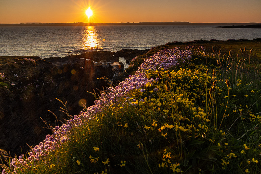 Sunset am  Hook Head