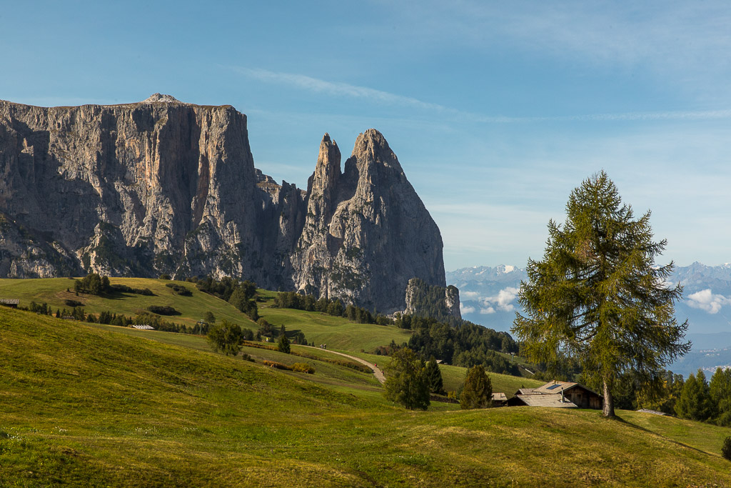 Morgens auf der Seiseralm