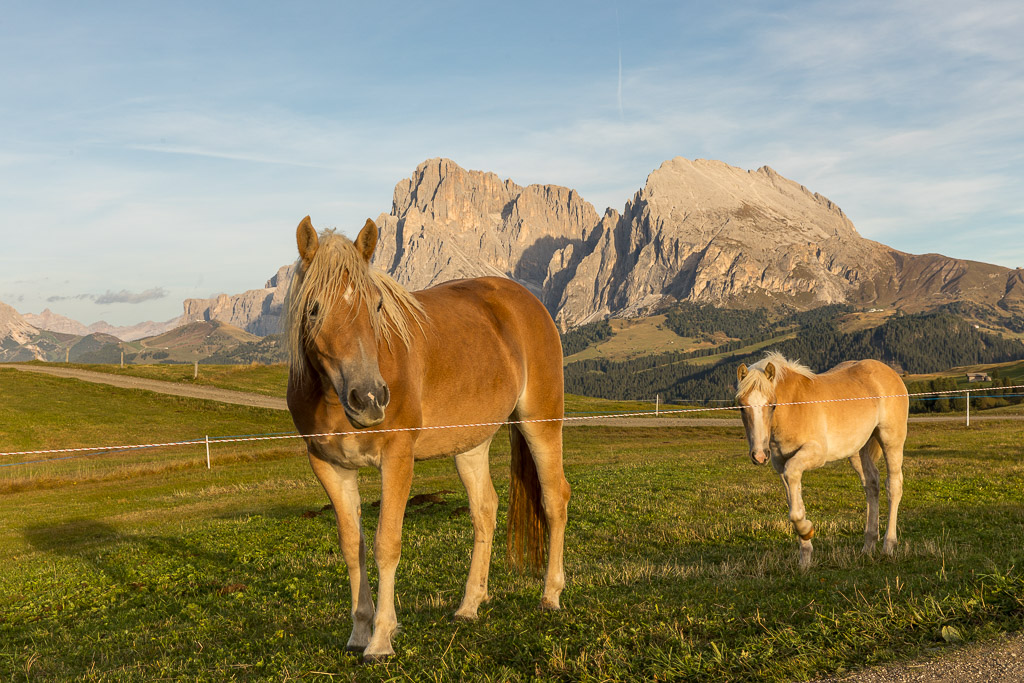 Abend auf der Seiseralm