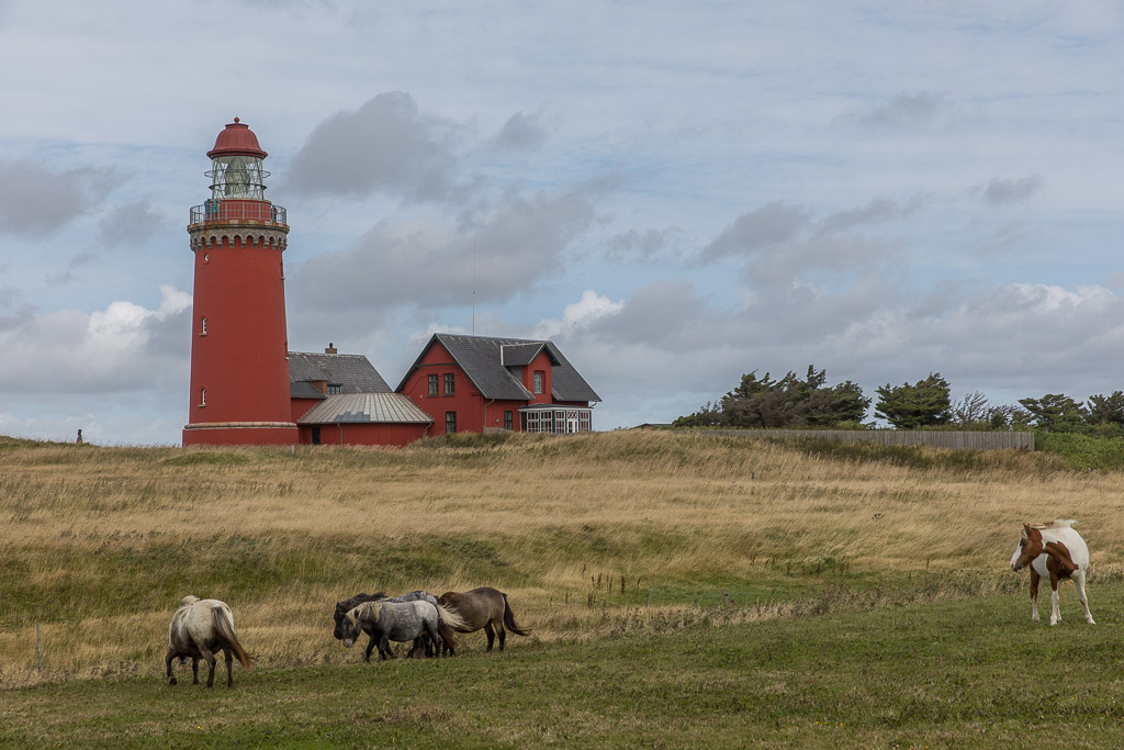 Bovbjerg Fyr