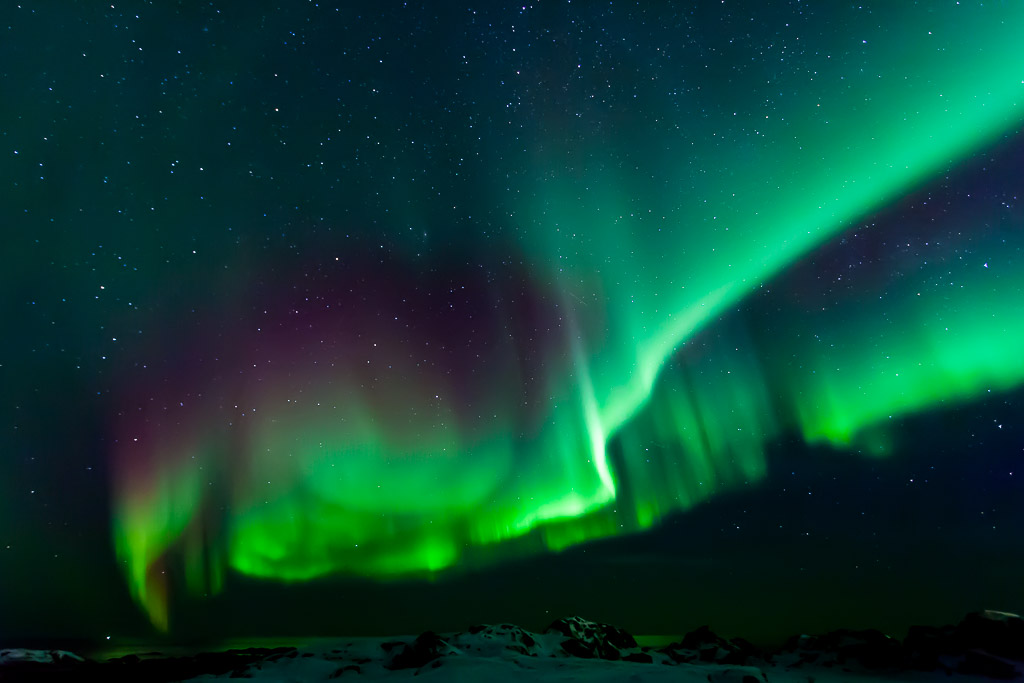 Nordlichter über Laukvik, Lofoten
