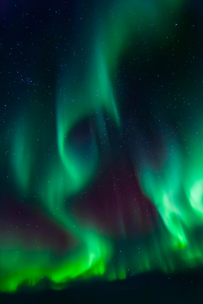 Nordlichter über Laukvik, Lofoten