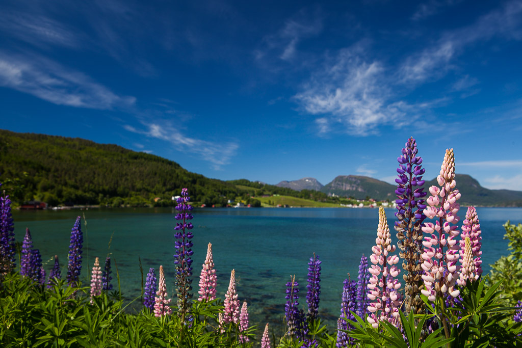 Panorama am Aretsvikfjord