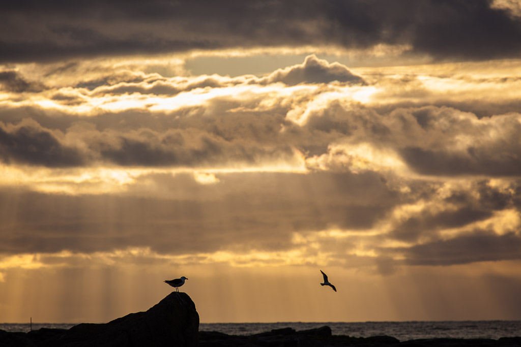 Mitternachtssonne und Stimmungen am Strand von Ramberg