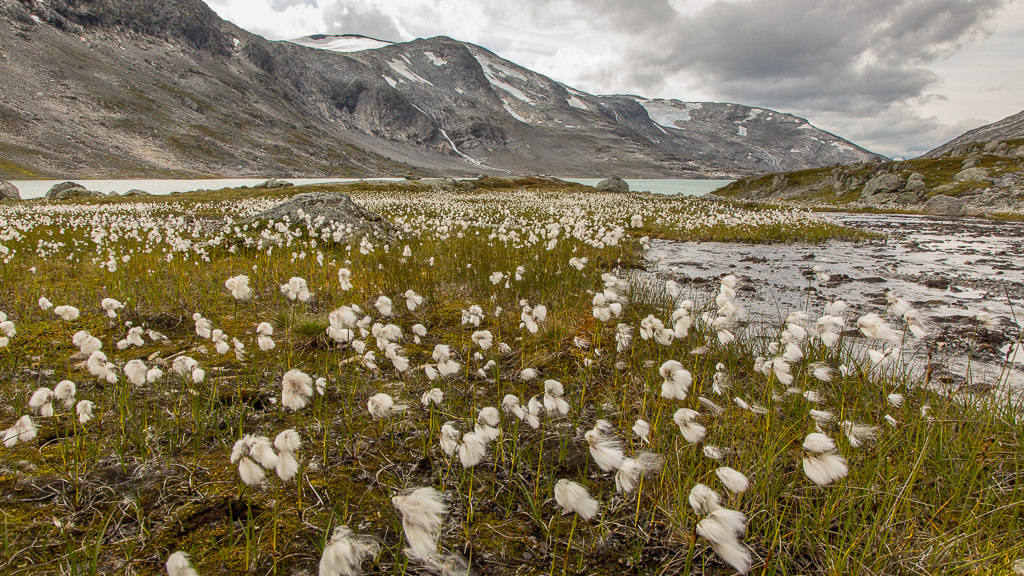 Gamle Strynefjellsvegen