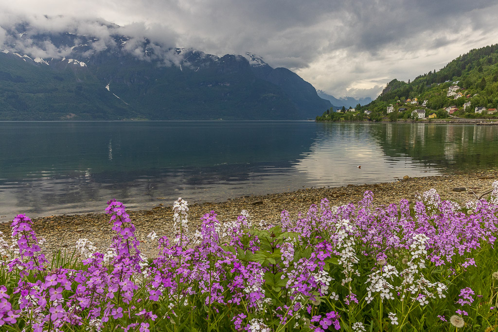 Am Sognefjord