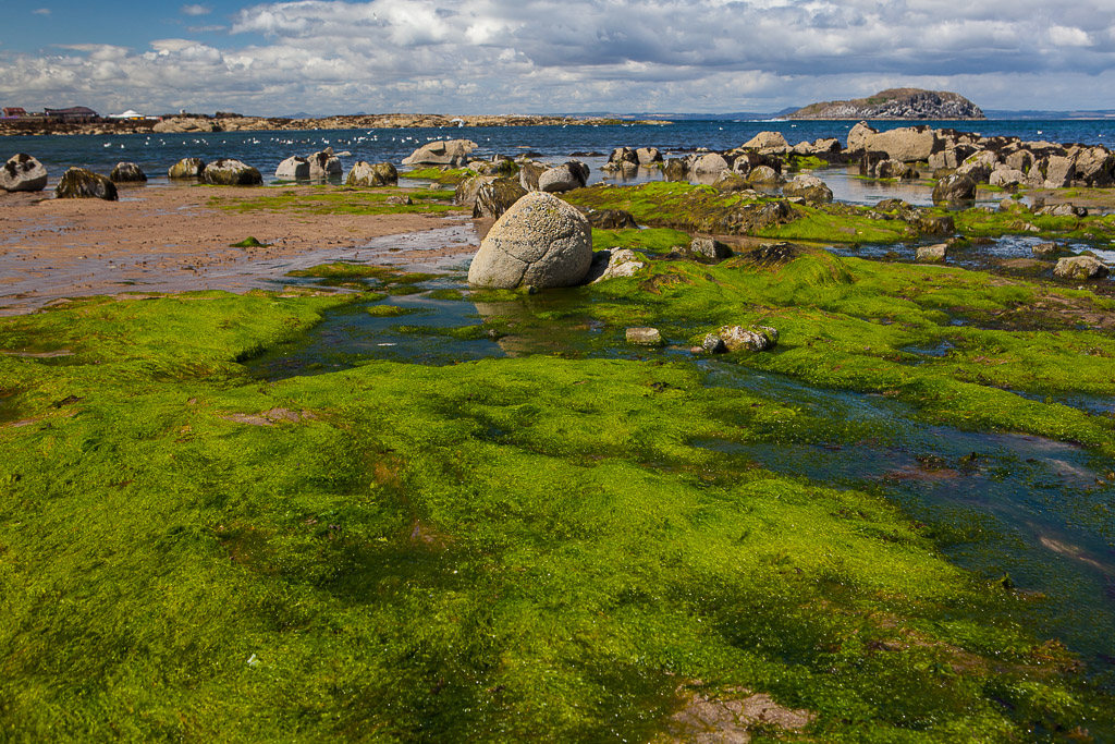 Strandspaziergang am Strand von North Berwick