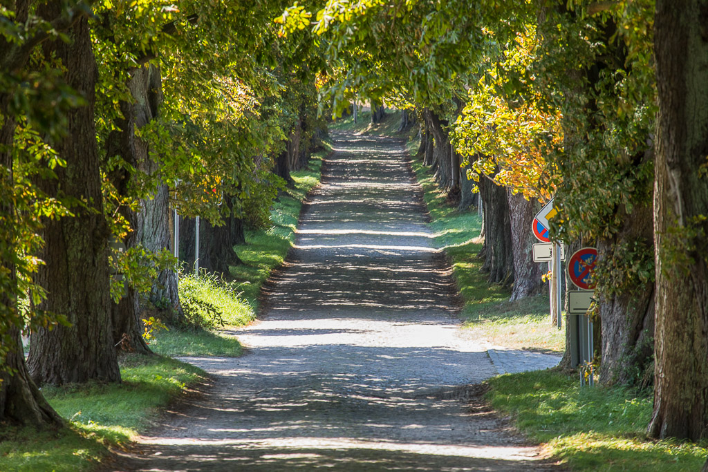 Rügener Allee