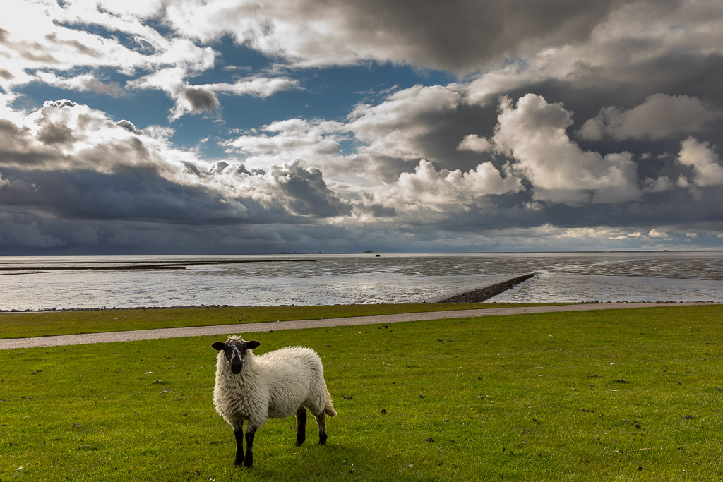 Dramatischer Himmel am Holmersiel