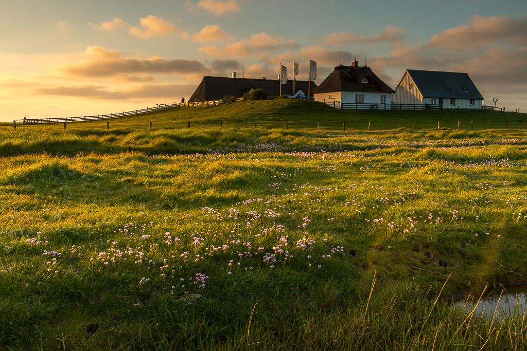 Sunset an der Hamburger Hallig