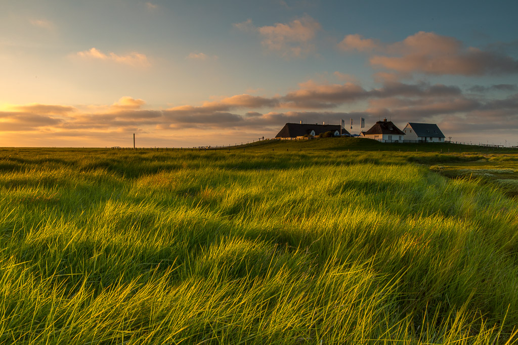 Sunset an der Hamburger Hallig