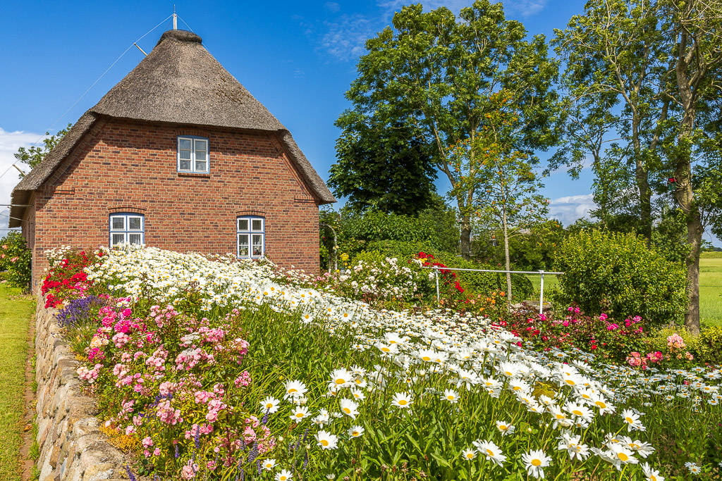 Blumengarten in England