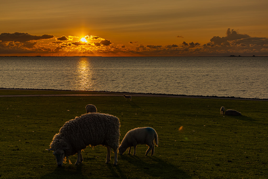 Sunset am Holmersiel