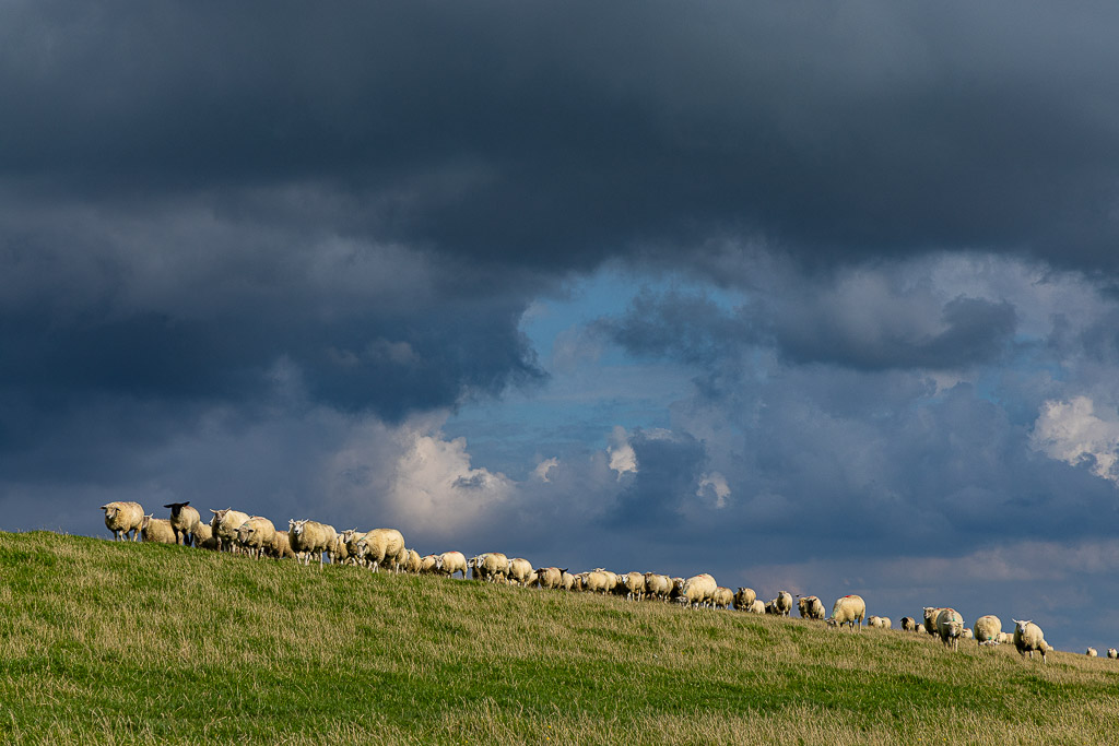 Deichspaziergang