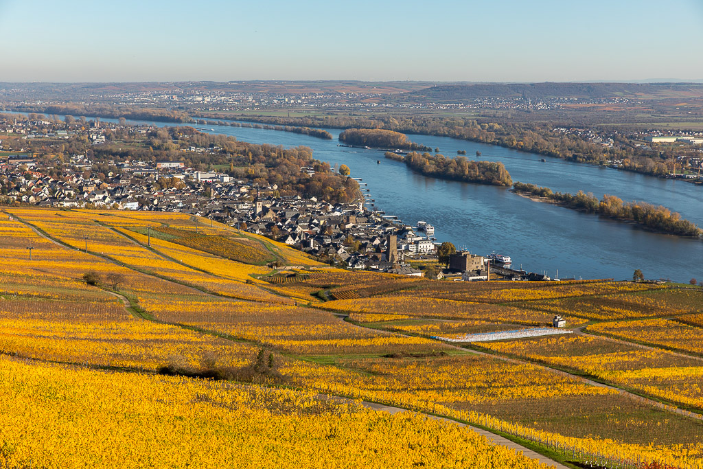 Herbst in den Weinbergen