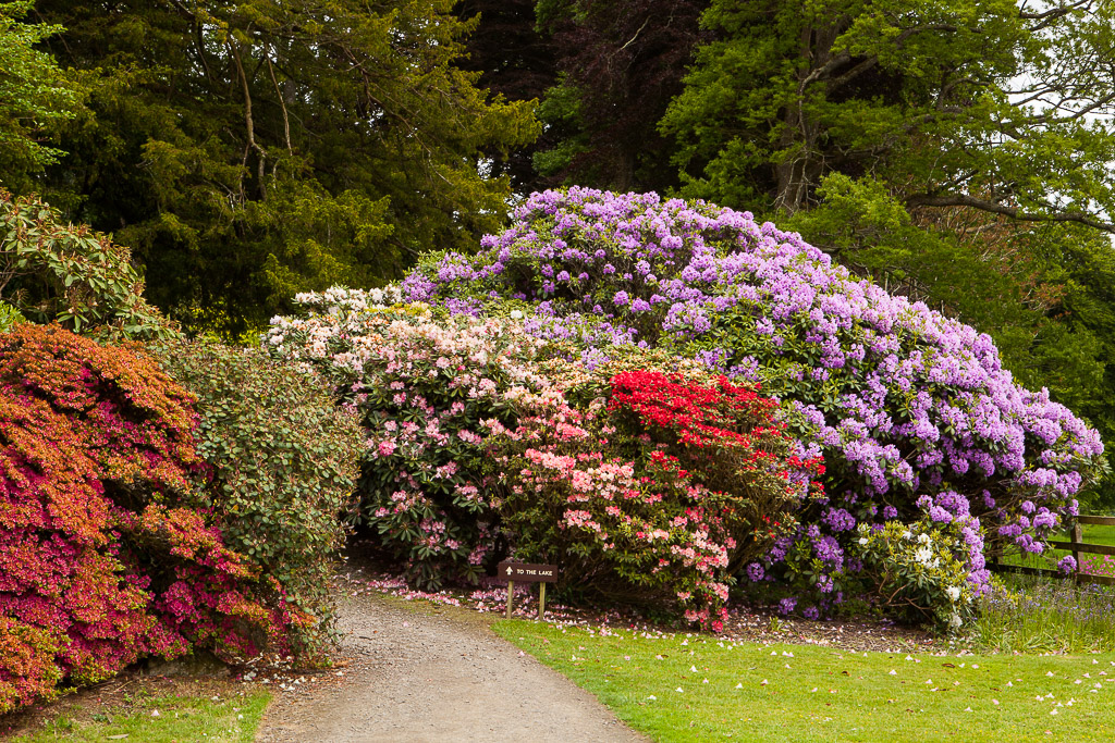 Pencarrow House and Garden