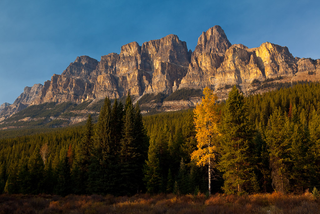 Herbststimmung am Bow Valley Parkway