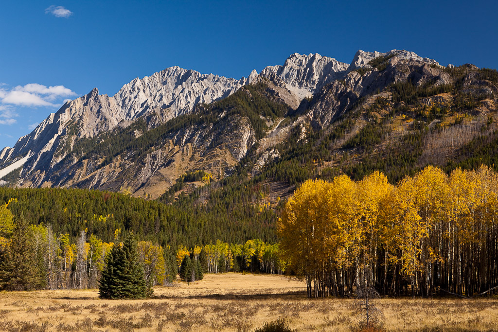 Mountains in Bow Valley Parkway