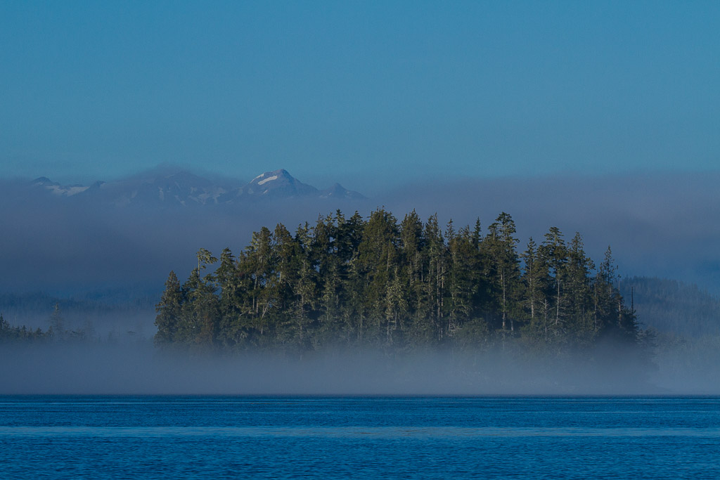 Insel am Eingang des Knight Inlet im Nebel