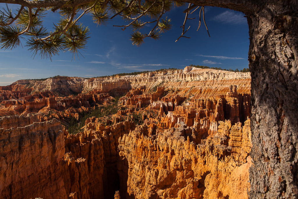 Wanderung durch den Bryce Canyon