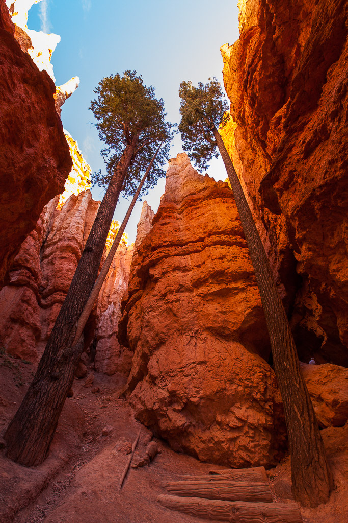 Wanderung durch den Bryce Canyon