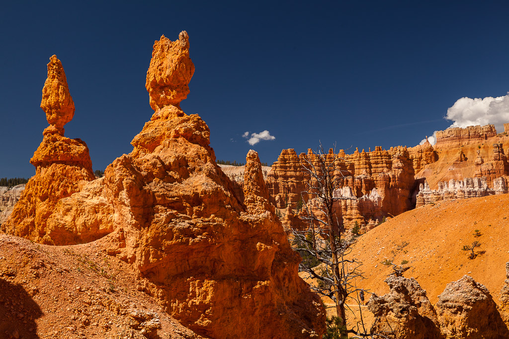 Wanderung durch den Bryce Canyon