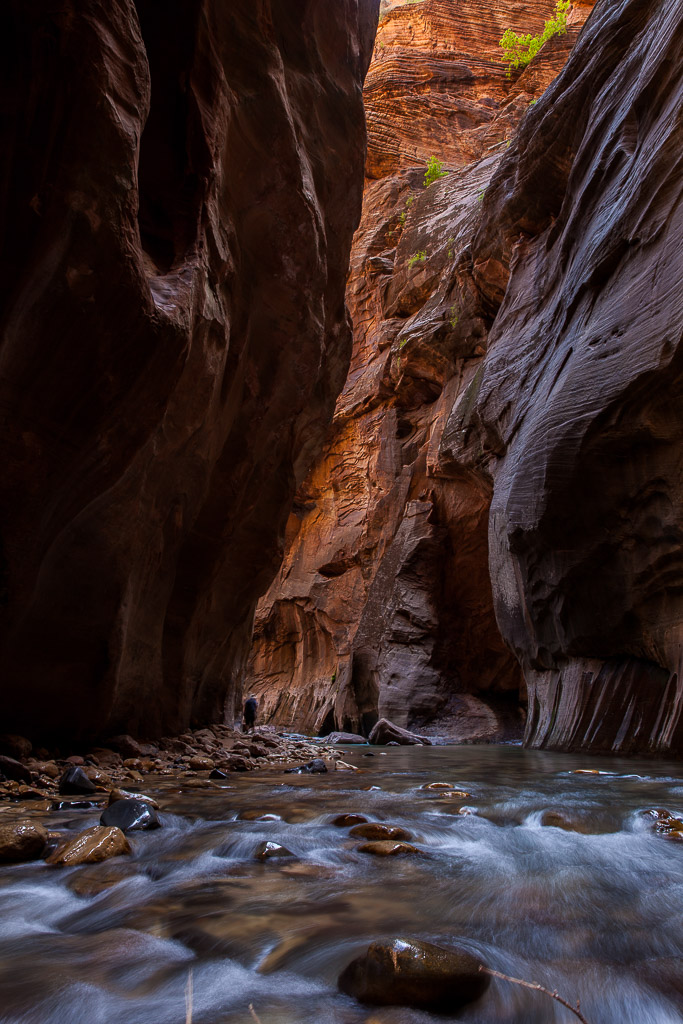 Wanderung in die Narrows, Zion NP