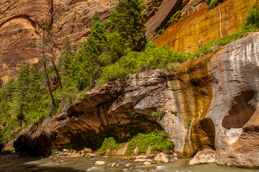 Wanderung in die Narrows, Zion NP